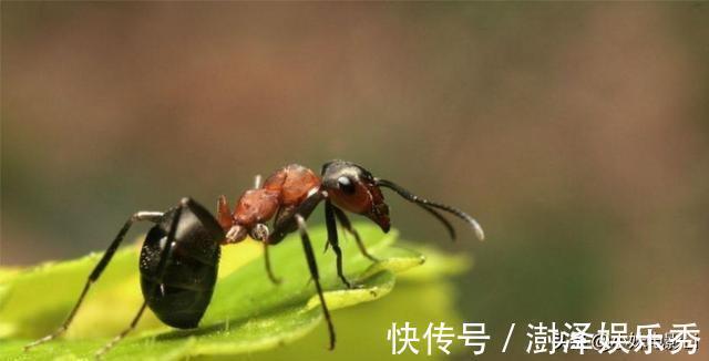 维度#老子的道德经已经发现四维空间? 老子不是消失, 而是去了四维空间