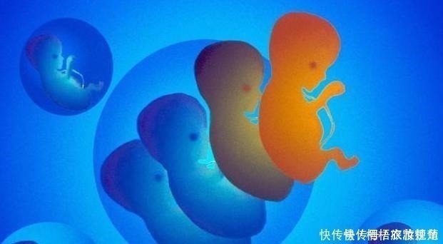 萌萌|怀孕4月却成“空胎”,胎停育并不是毫无征兆,这5点孕妈要留意