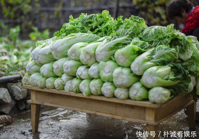 大白菜别直接放地上保存,教你1招保鲜方法,买多了也不怕坏