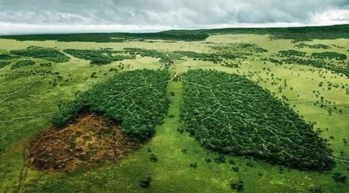 肺脏|养肺就是养命，养肺的好季节已到，医生：这3件事要尽早做