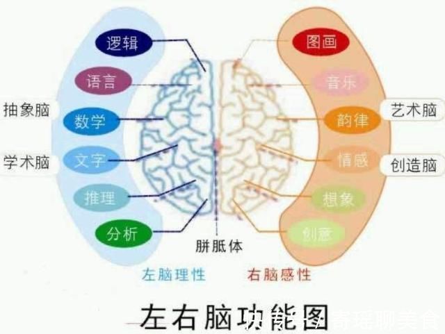 神经元|研究表明：孩子10岁前，有三次“变聪明”的机会，父母要抓住