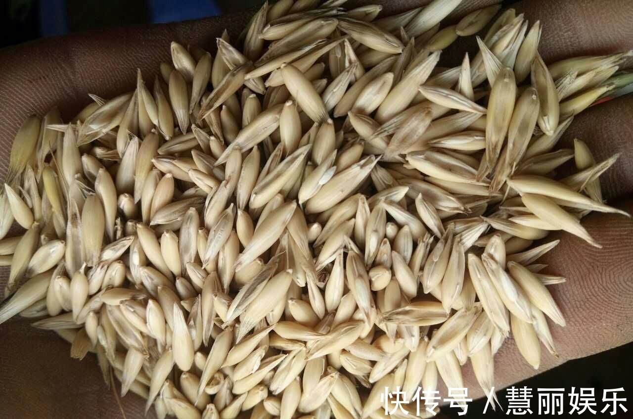 糖尿病|糖尿病的“4大克星”,苦瓜才排第二,排第一的很少有人清楚!