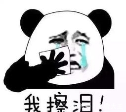 |搞笑杂谈:老婆,搓衣板真的太硬了,我跪不动了