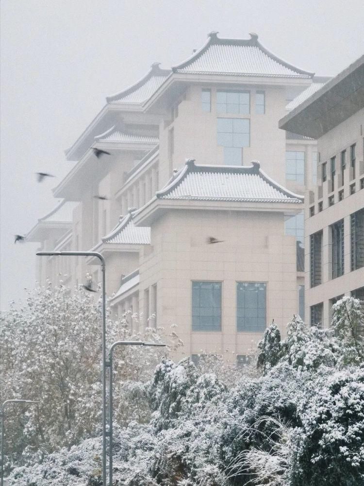 公众号|今日份心动！师大初雪2?2?