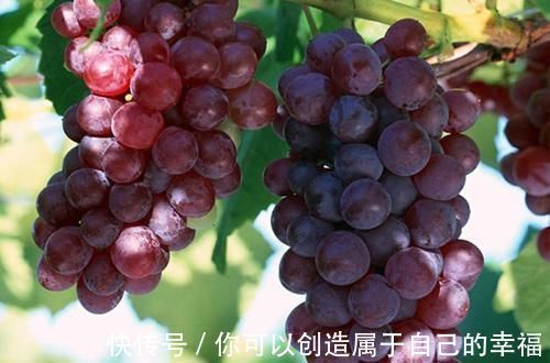 神经衰弱|多少人正在被失眠困扰着,经常失眠的人,吃什么能有助于睡眠?