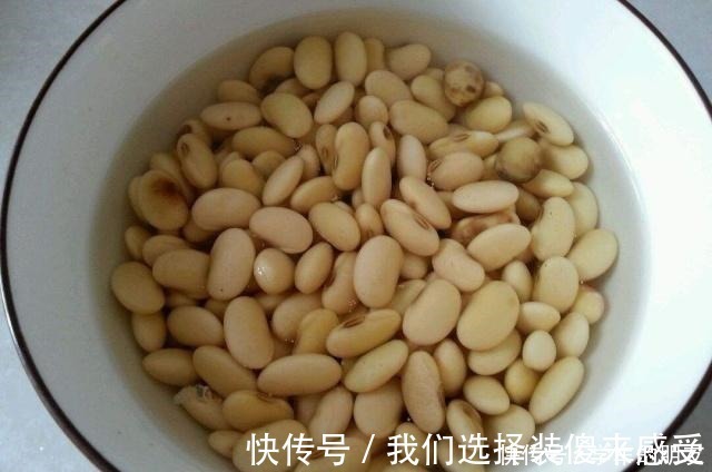 君子兰|用2个方法,将黄豆处理一下,就是“花卉氮肥”,养啥都旺!
