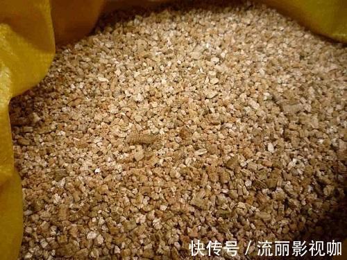 黑云母|这种养花好料知道的人很少,土里加一点透气又保温,扦插时也有用
