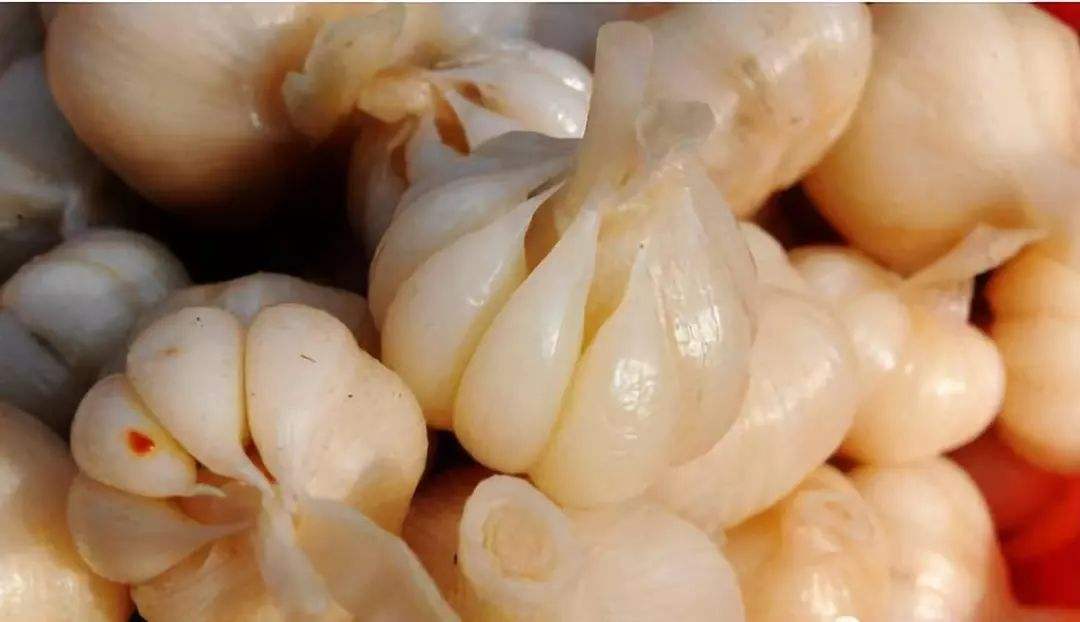 送上腌制各种蔬菜的配方，自己做干净卫生，不用去外面买了！