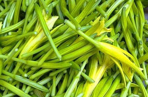 南瓜|女性养生,推荐常吃的食物,滋肝明目,健脑益智,滋补身体