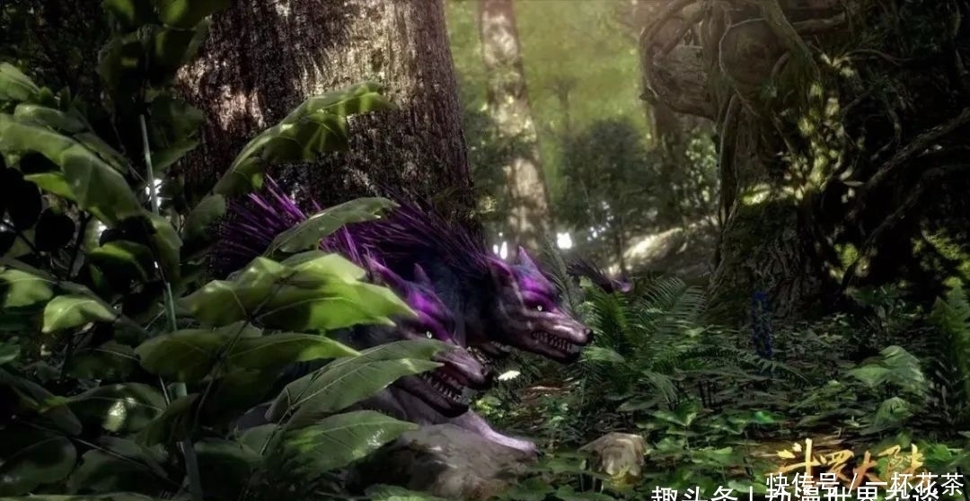 魂环|斗罗大陆:星斗大森林逃亡结束,多少人还记得曾经的猎魂森林?
