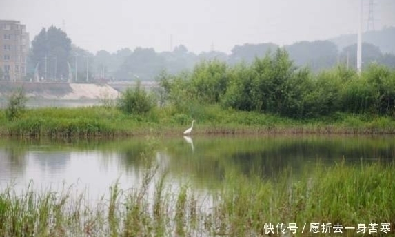 小马|小伙河边钓鱼用这个做鱼饵,围观群众嘲笑他,随后统统闭嘴