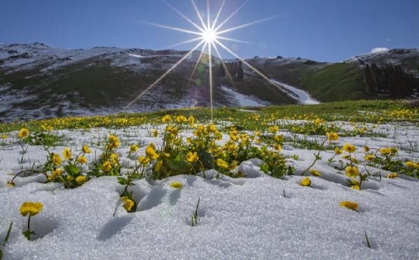 那拉提|面朝雪山 草原花开