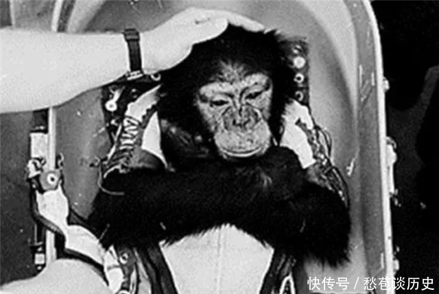 59年前,被美国送上太空的黑猩猩“宇航员”,最后结局如何?