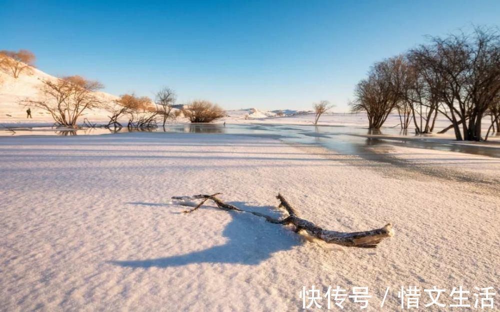 苑中遇雪应制$这10首咏雪诗词，不带一个雪字，却写尽雪之美！