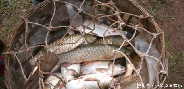 朱元璋|刘伯温临死送了一筐鱼，朱元璋疑惑不解，17年后才明白意思！