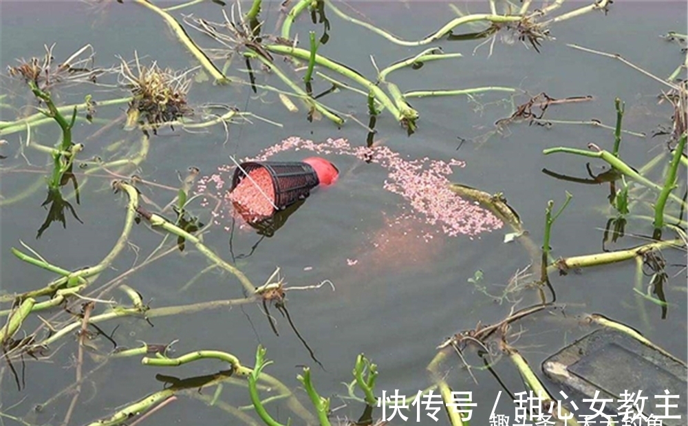 冬季低温发窝慢,打窝聚鱼要分4步走,距离远的鱼群也能排队进窝