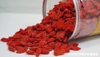 适应性|枸杞虽好,但枸杞泡水时不能放此物,却很多人不清楚,早知早好