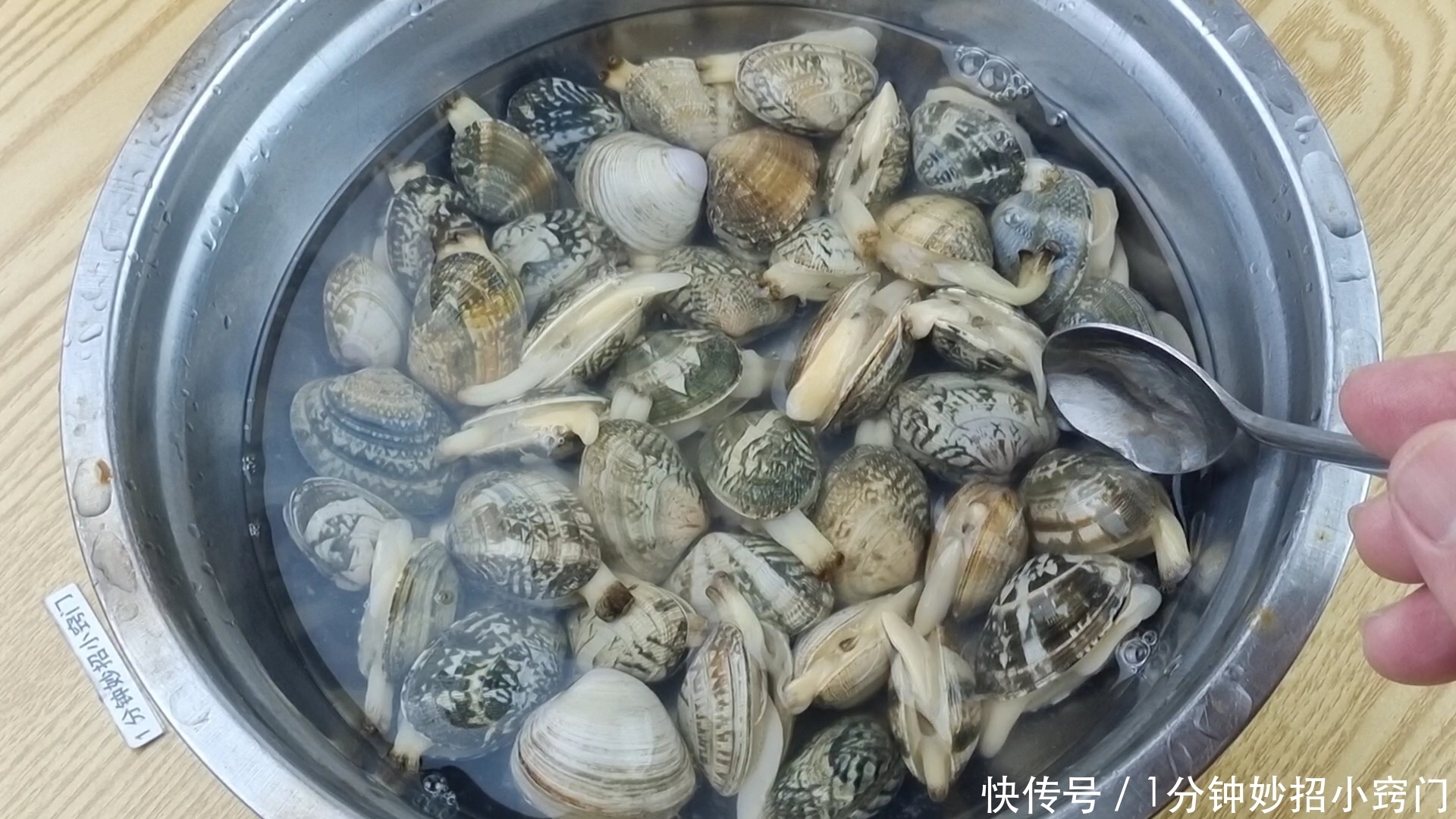 洗花蛤时，不要加盐了！老渔民：教你一招，花蛤疯狂快速吐沙