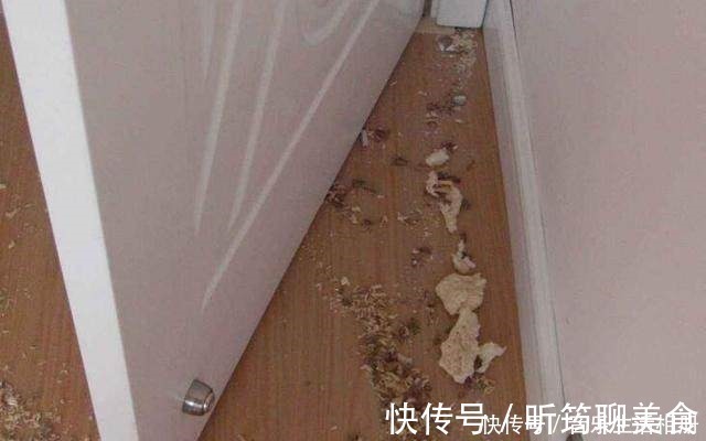 磁铁|装修万万别把门吸装这个位置,我家不懂,入住后才知那么坑!