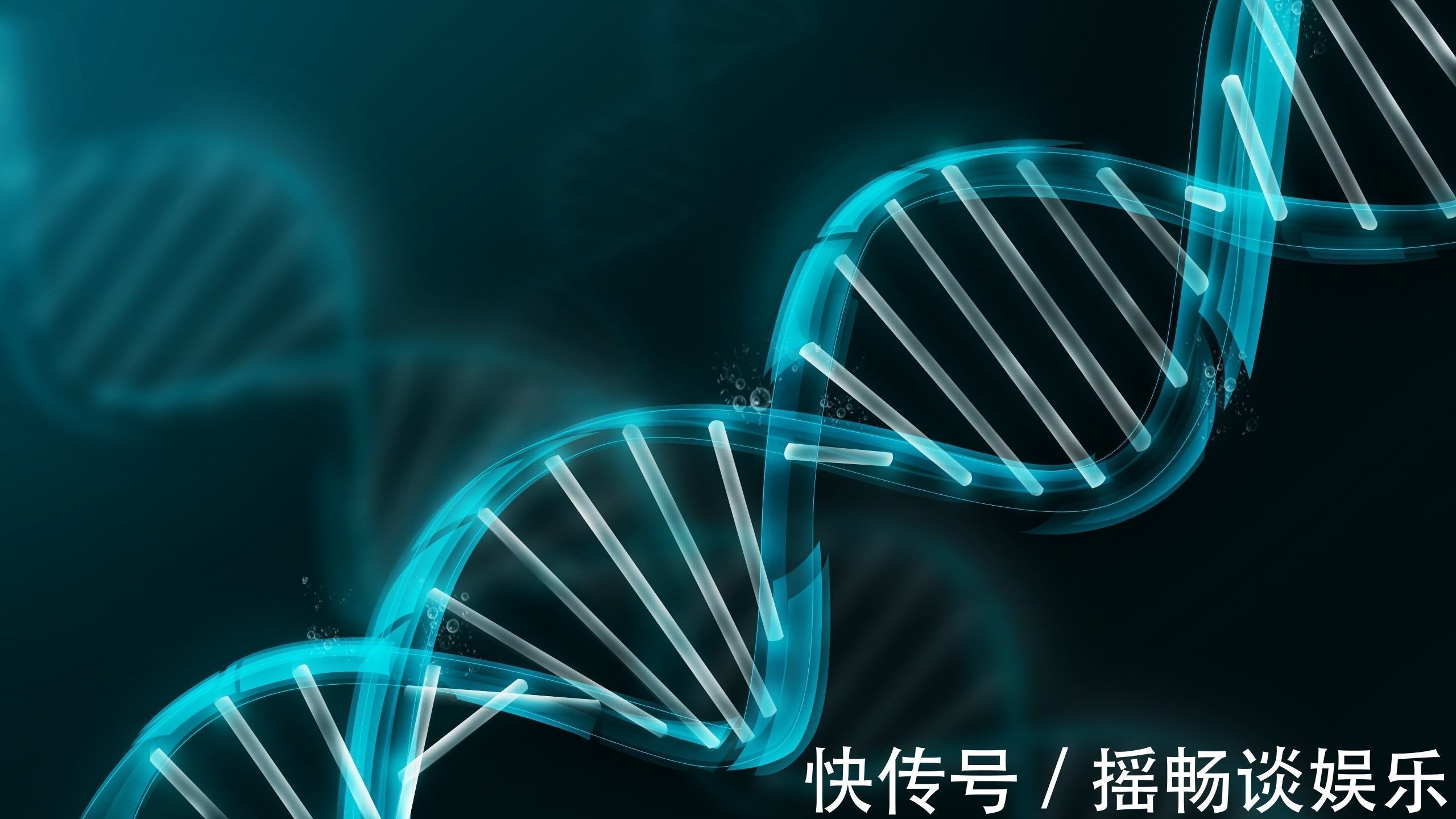 pet|年年体检,为什么还会得癌症?普通体检查得出来吗?