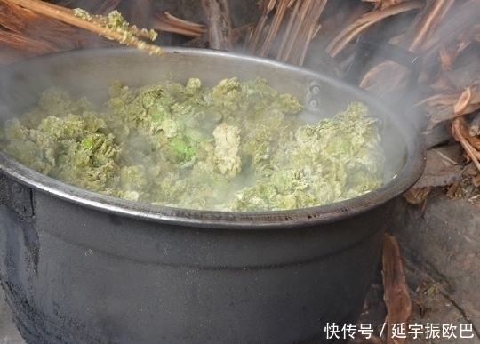 城里人|农村这种树上的叶子能吃,机会难得,城里人可吃不到哦!