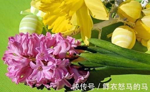 桃花|往后7天，跨越伤痛，琴瑟和鸣，桃花相助，勇敢追求，缔结良缘