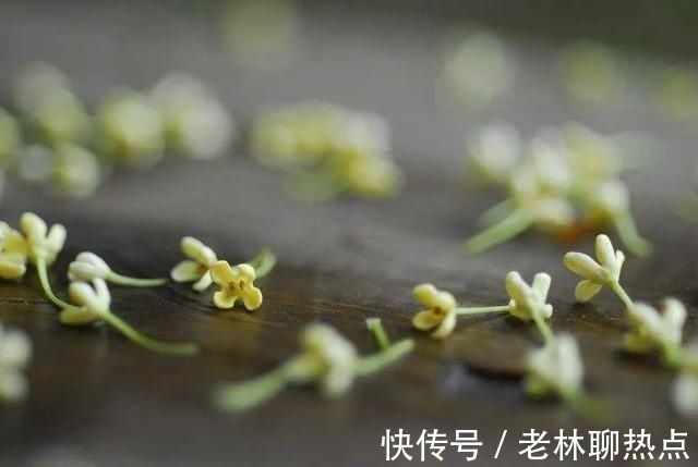 夜静春山空!王维的《鸟鸣涧》乍一看是一首山水诗,其实是佛家修炼的三层境界