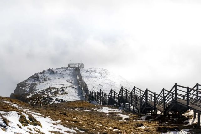 雪山|全网565.7万人次围观！央视“发现轿子雪山”主题直播火了！