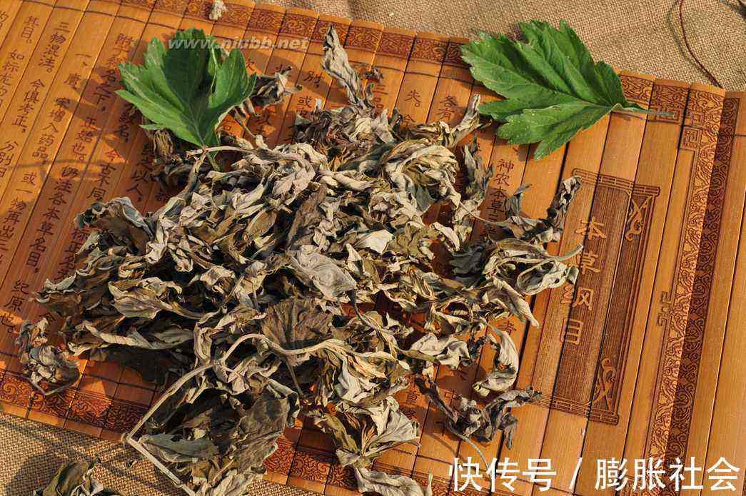 痛经|妇科炎症的“天敌”,用水泡一泡,保护子宫缓解痛经,预防妇科病