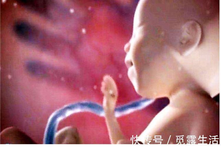孕期|在孕期,胎动频繁的宝宝是不是性格很调皮?性格娘胎里就已经定了