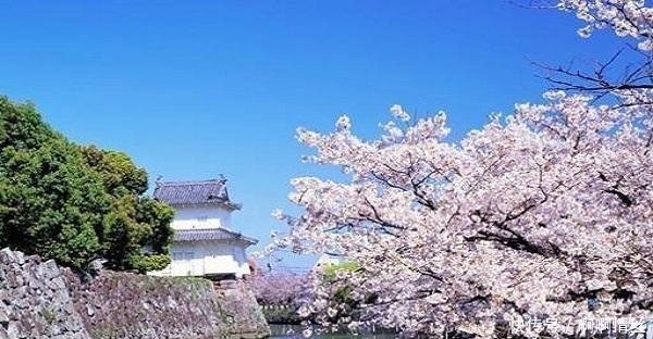 出了名|日本人爱干净是出了名的,到底干净到什么程度,看完之后就会明白