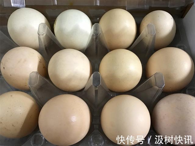鸡蛋不用放冰箱,教你保存小妙招,放半年都不坏,省钱又实用