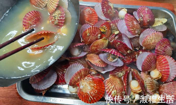 鲜嫩|蒸扇贝时,记得不要加水蒸,海边人教你正确做法,鲜嫩美味还不腥