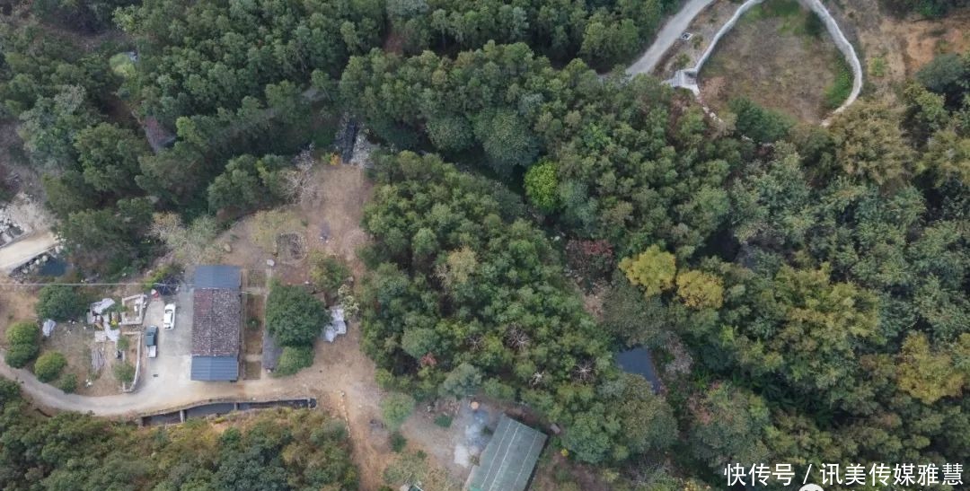 清远优质民宿大搜罗,总有一款合你胃口,来迎接夏日狂欢吧