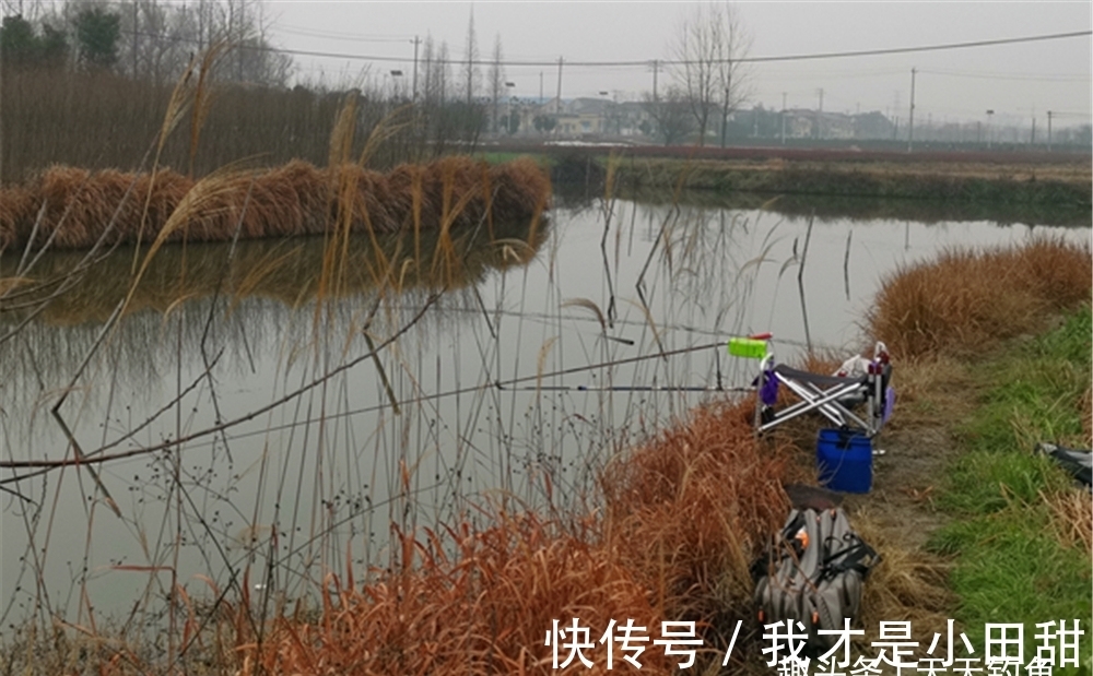 冬钓万金油:一要看天气,二要看钓位,三要看钓法,四要看饵料!