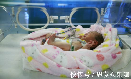 新生|宝宝出生后的体重暗示了将来智商的高低?科学的解释,家长要知晓