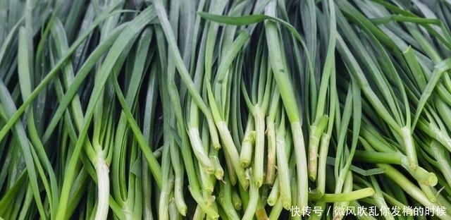 它是“春天第一鲜”,鲜美营养高,3块钱买一大把,不懂吃可惜了
