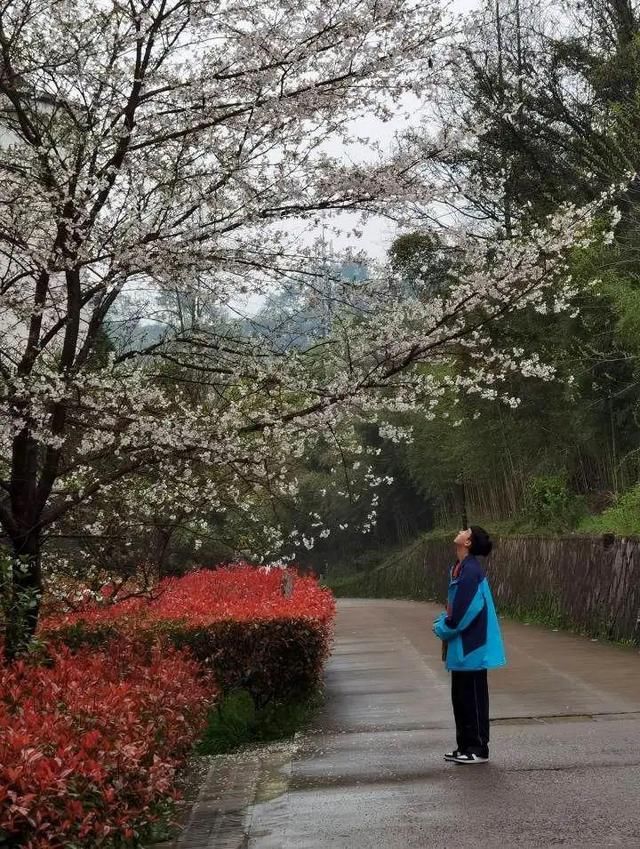 照片|浙江校长晒了张图，朋友圈被爆赞：这才是少年在春天该有的样子啊！