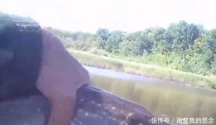 荷花池钓鱼遇“鸭嘴”怪鱼咬钩,据说放生了会危害整片河域!