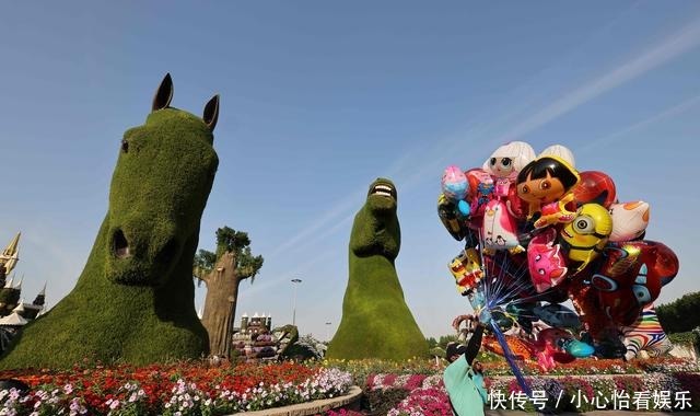 世界上最大|阿联酋迪拜：百万种植物打造“奇迹花园”