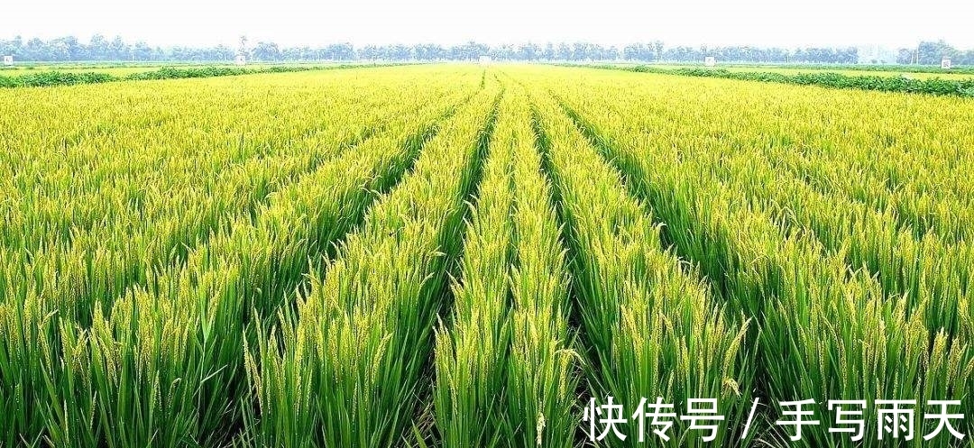 绝句!落选《唐诗三百首》最著名的20首诗,清明、赠汪伦、鸟鸣涧在其中