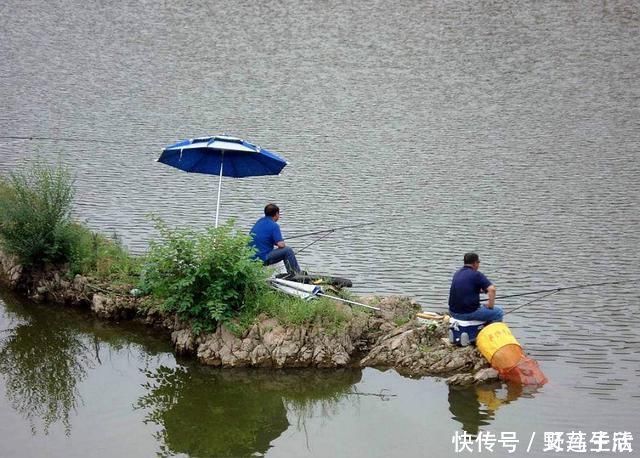 放弃|总有人说要放弃台钓,事实是有些人、有些环境下不适合玩台钓