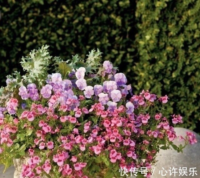 任何容器都能用来做花盆,请收好这30种美丽的花盆搭配设计