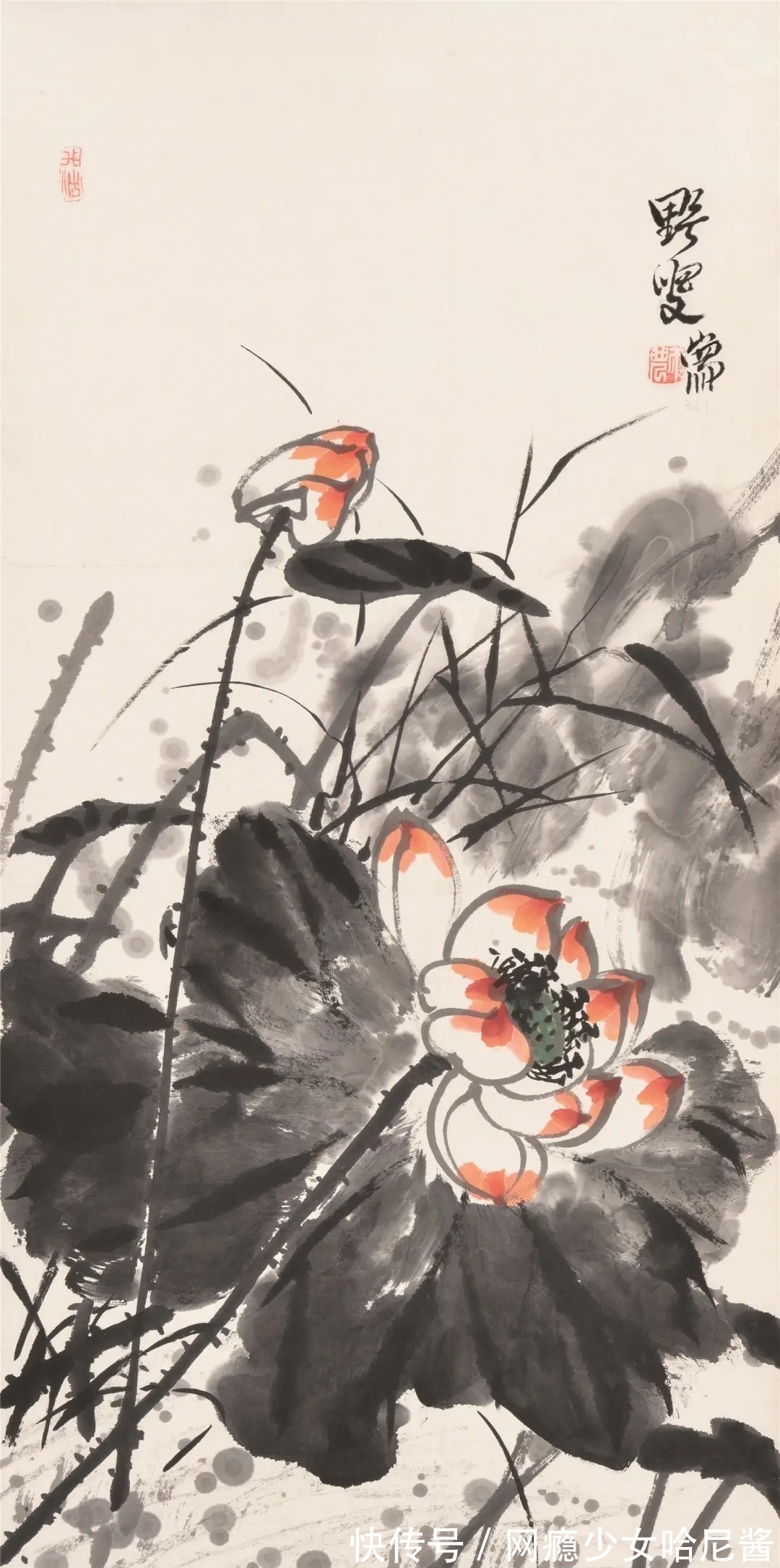 花鸟画@随心所欲、自然天成｜蒋雨浓写意花鸟画