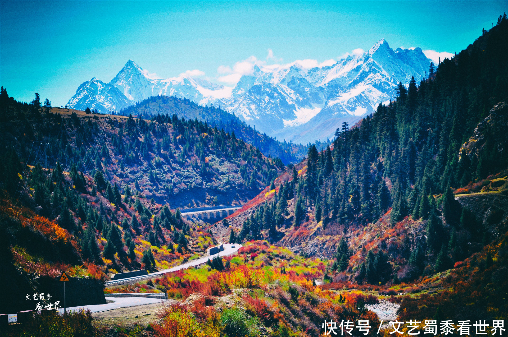 中年|承认吧！2021年你根本不敢一个人去旅行