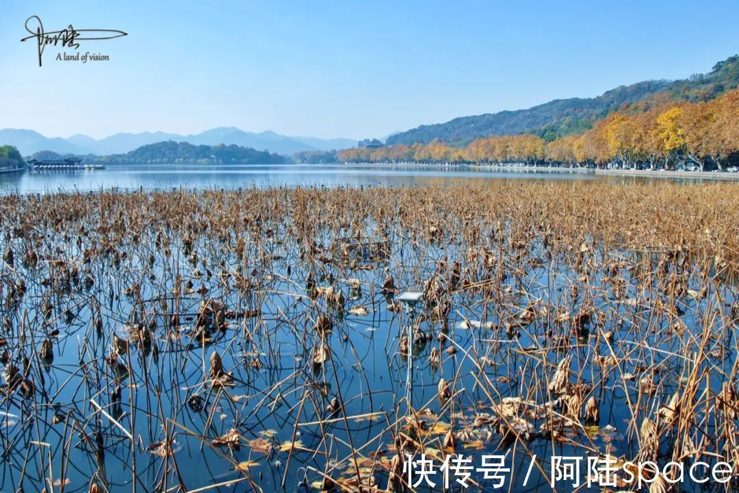 散散步|杭州的冬天只要没有积雪，西湖风景总不缺绿意盎然