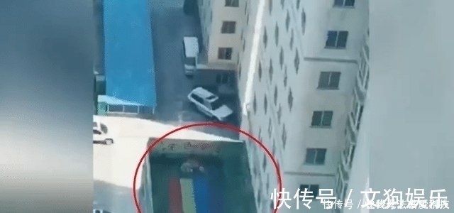 妈妈|孙子上幼儿园后,爷爷每天看望远镜,没想到被妈妈发现了小秘密