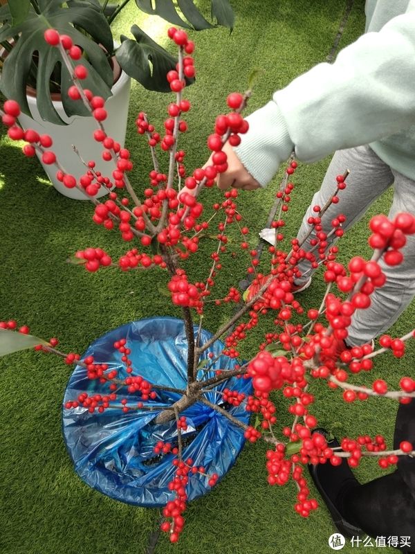 早餐吃什么 篇十九:家庭自制蛋挞/第1次用电饼铛做/大师小点葡式蛋挞手工蛋挞皮蛋挞液烘焙