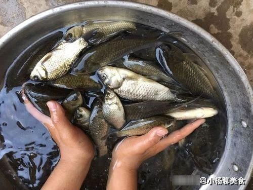 柠檬汁|它是“鱼腥”的克星，做鱼稍微加一点，鱼肉又香又嫩，没有腥味