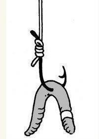 蚯蚓钓鱼效果好,但你挂对了吗,不同挂法效果不同